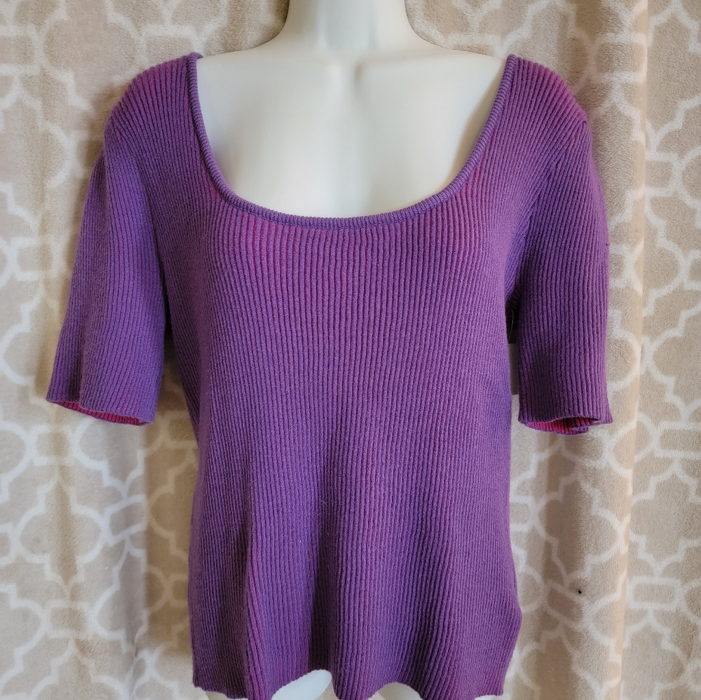 NWT Purple and pink Sweater